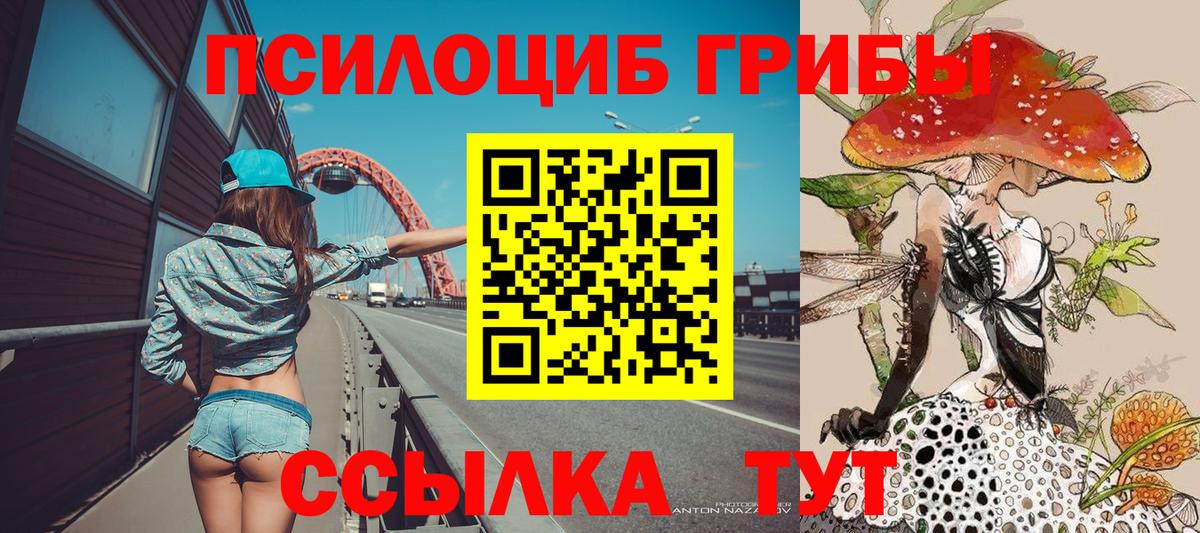 Котовск  Псилоцибиновые грибы MAGIC MUSHROOMS  закладка  Вход с VPN 