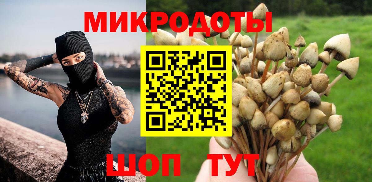 Галлюциногенные грибы MAGIC MUSHROOMS Котовск